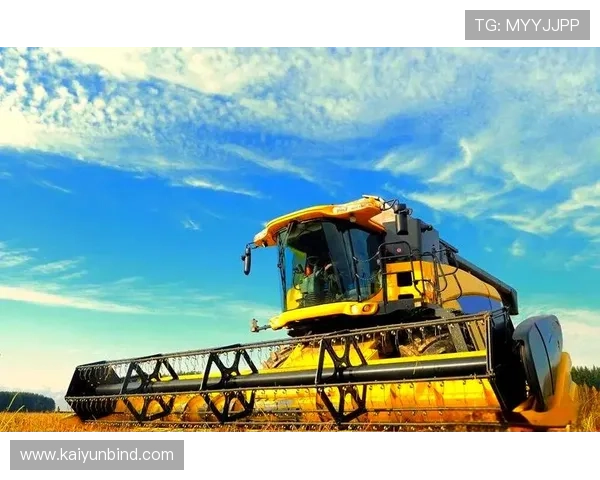 探索中国开云AP在全球市场的影响力